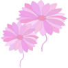 Bild "Willkommen:SPG_Blumen_mini.png"